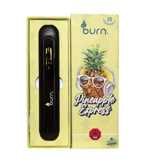 Burn  - Pineapple Express Mega Sized 2mL Disposable Vapes