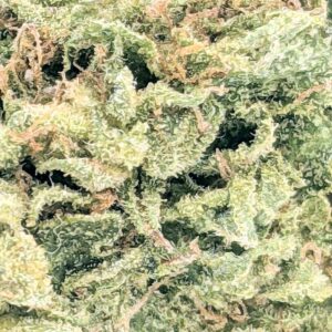 Blue God strain buy weed online cheap weed online dispensary mail order marijuana