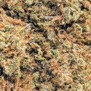 Fatso strain buy weed online cheap weed online dispensary mail order marijuana