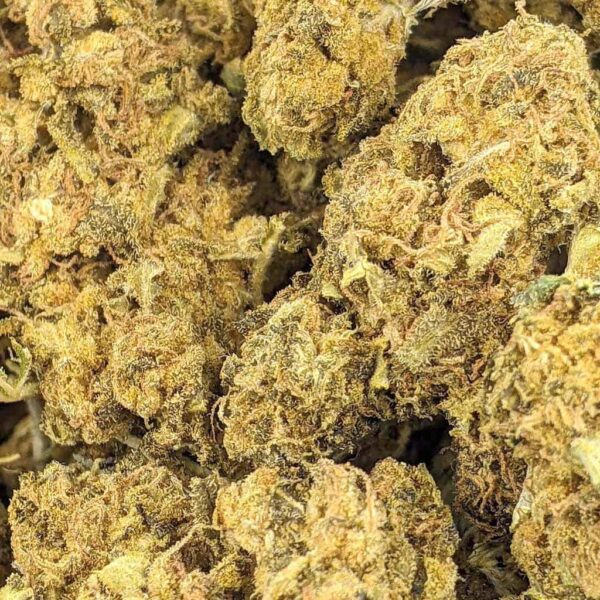 Monster Cookies strain buy weed online cheap weed online dispensary mail order marijuana