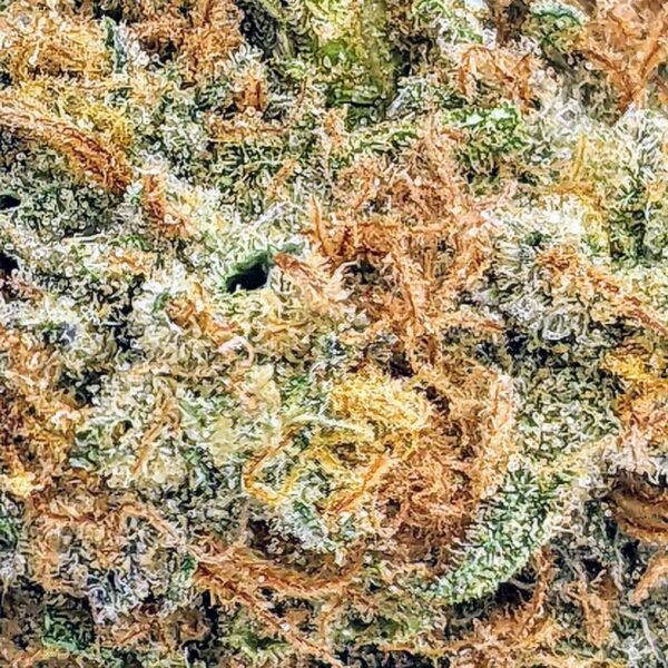 Blue Cookies strain buy weed online cheap weed online dispensary mail order marijuana