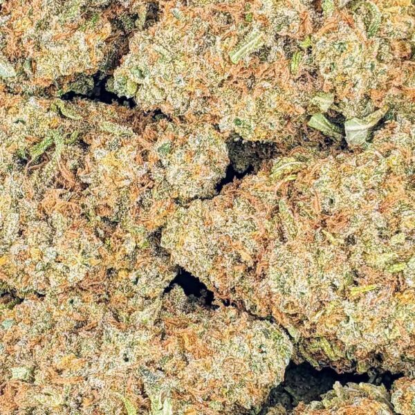 Blue Cookies strain buy weed online cheap weed online dispensary mail order marijuana