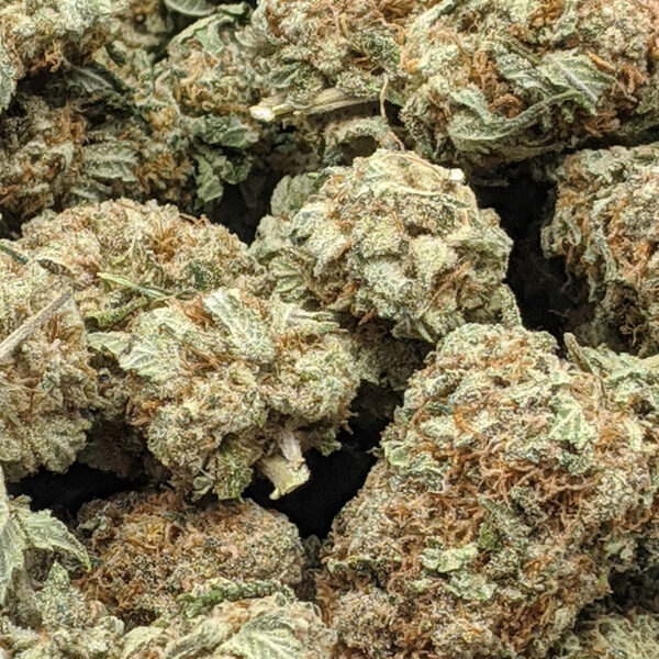 Night Terror OG strain buy weed online cheap weed online dispensary mail order marijuana