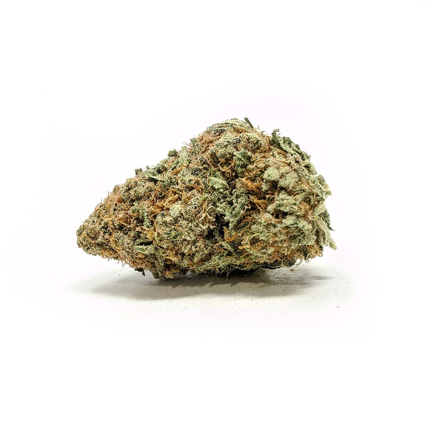 Night Terror OG strain buy weed online cheap weed online dispensary mail order marijuana