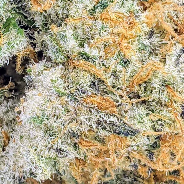 Sherbet strain buy weed online cheap weed online dispensary mail order marijuana