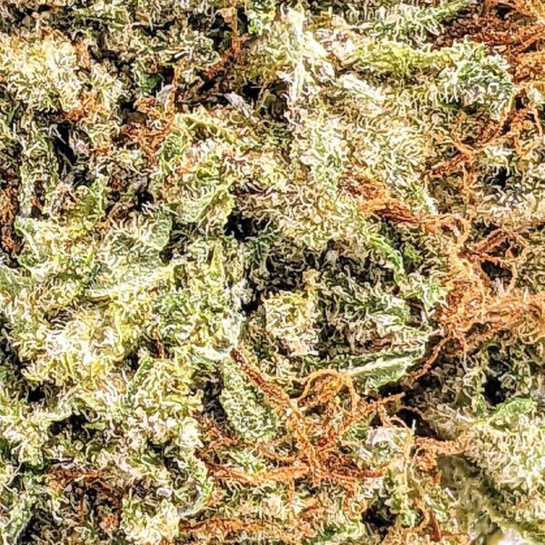 Shishkaberry strain buy weed online cheap weed online dispensary mail order marijuana