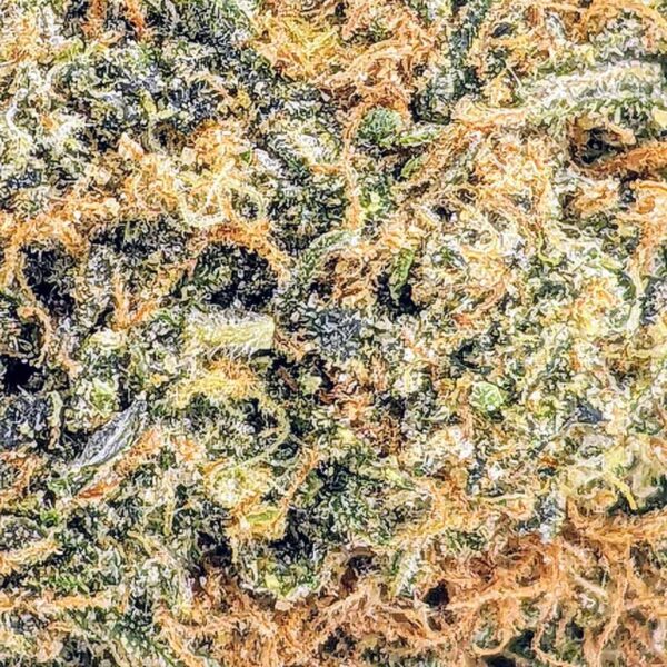 Cookie Dough strain buy weed online cheap weed online dispensary mail order marijuana
