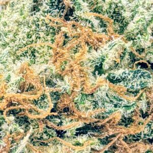 Afgoo strain buy weed online cheap weed online dispensary mail order marijuana