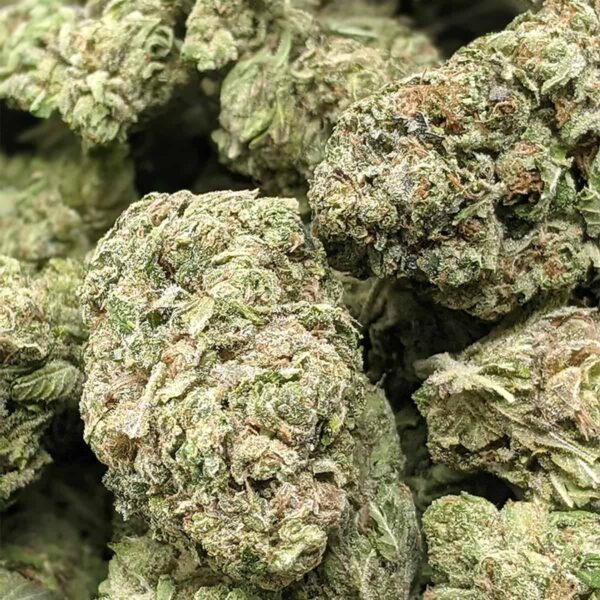 Blue Widow strain buy weed online cheap weed online dispensary mail order marijuana