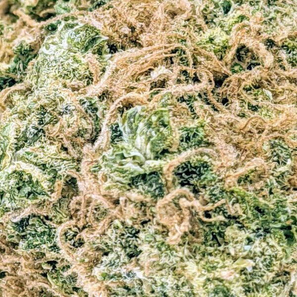 Mandarin Sunset strain buy weed online cheap weed online dispensary mail order marijuana