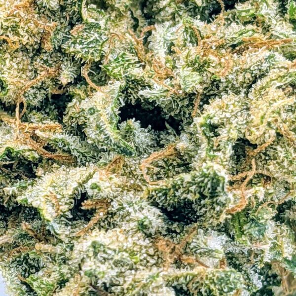 Mango Punch strain buy weed online cheap weed online dispensary mail order marijuana