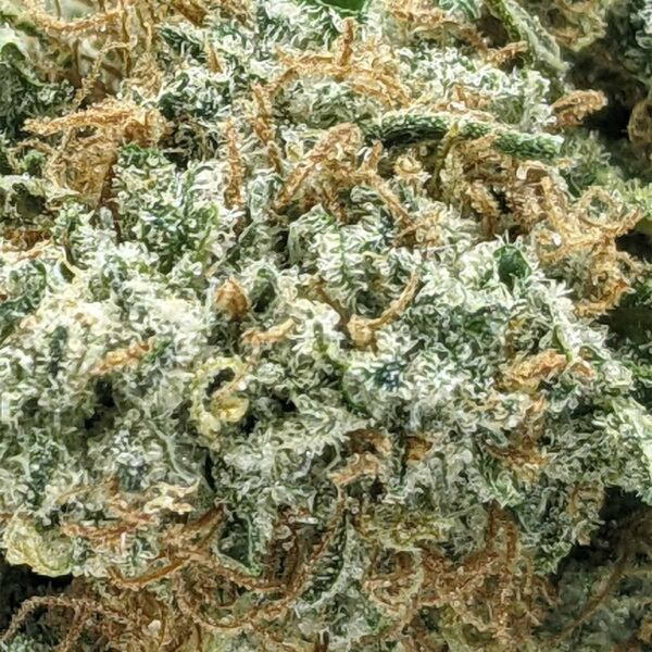 Blueberry Haze strain buy weed online cheap weed online dispensary mail order marijuana