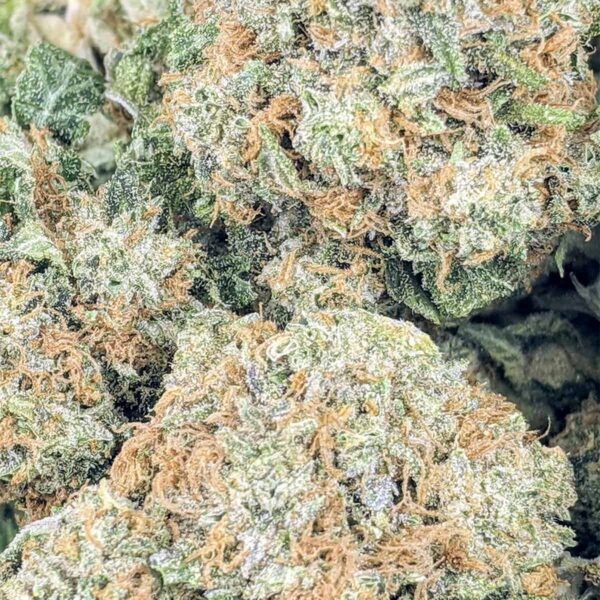 Orange Cookies strain buy weed online cheap weed online dispensary mail order marijuana