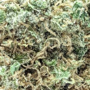 Purple God strain buy weed online cheap weed online dispensary mail order marijuana