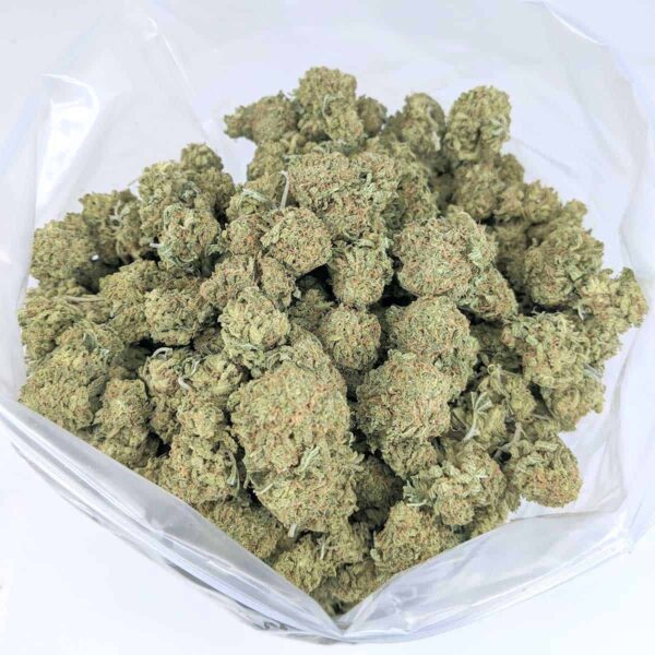 Sour Cheese strain buy weed online cheap weed online dispensary mail order marijuana