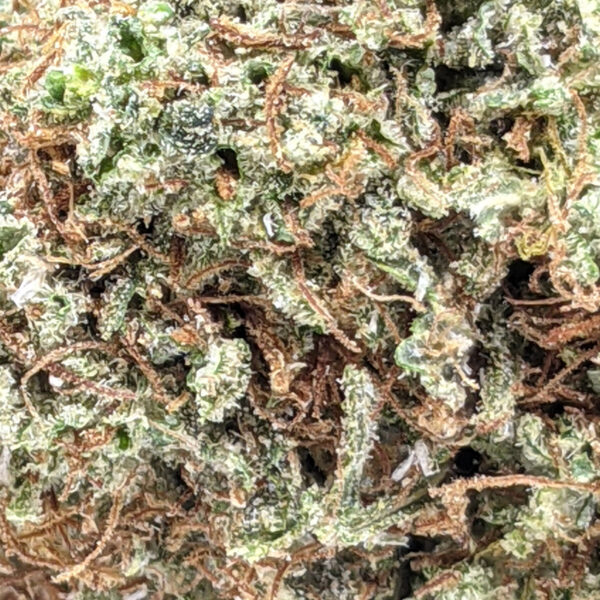 Alien Dawg strain buy weed online cheap weed online dispensary mail order marijuana
