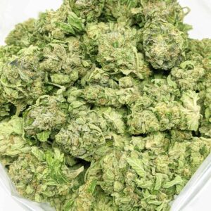 Jack Fruit strain buy weed online cheap weed online dispensary mail order marijuana