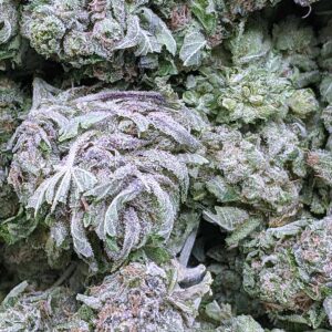 Apple Pie strain buy weed online cheap weed online dispensary mail order marijuana