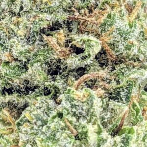 Orange Kush strain buy weed online cheap weed online dispensary mail order marijuana
