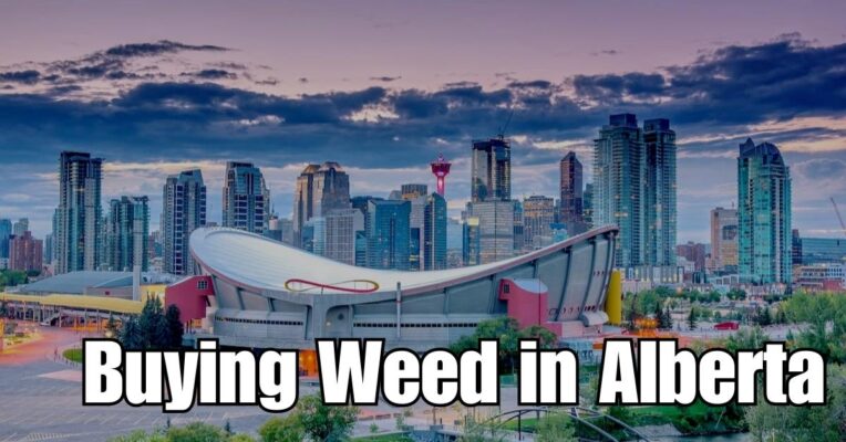 Buy Weed Online Alberta strain buy weed online cheap weed online dispensary mail order marijuana