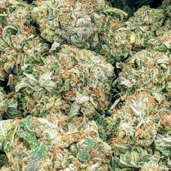 Snow Lotus strain buy weed online cheap weed online dispensary mail order marijuana