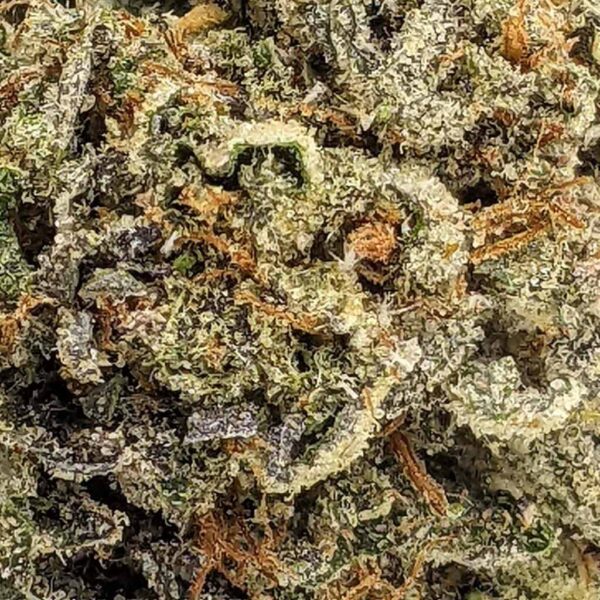 Khalifa Kush strain buy weed online cheap weed online dispensary mail order marijuana