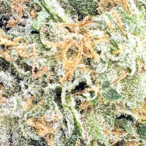 Lemon Haze strain buy weed online cheap weed online dispensary mail order marijuana