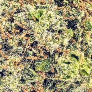 Lindsay OG strain buy weed online cheap weed online dispensary mail order marijuana