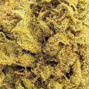 Mataro Blue strain buy weed online cheap weed online dispensary mail order marijuana