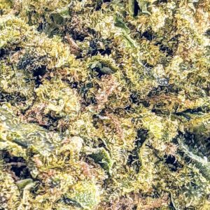 Black Water strain buy weed online cheap weed online dispensary mail order marijuana