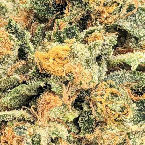 Obama Kush strain buy weed online cheap weed online dispensary mail order marijuana