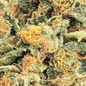 Raspberry Tart strain buy weed online cheap weed online dispensary mail order marijuana