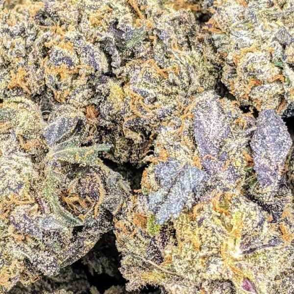 Granddaddy Purple strain buy weed online cheap weed online dispensary mail order marijuana