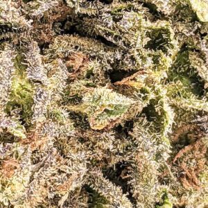 Jack Herer strain buy weed online cheap weed online dispensary mail order marijuana