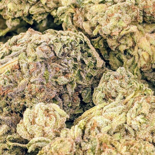 Jack Herer strain buy weed online cheap weed online dispensary mail order marijuana