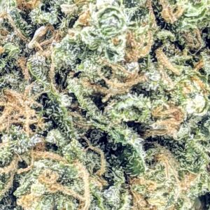Alaskan Thunder Fuck strain buy weed online cheap weed online dispensary mail order marijuana