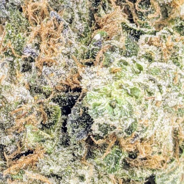 Purple Panty Dropper strain buy weed online cheap weed online dispensary mail order marijuana