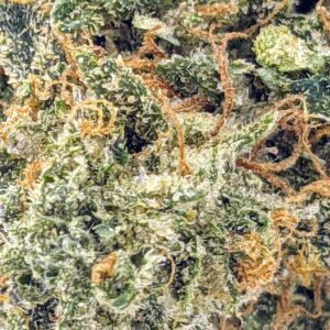 Key Lime Pie strain buy weed online cheap weed online dispensary mail order marijuana