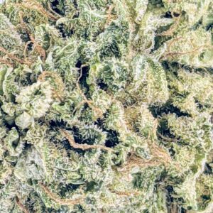 Purple Skunk strain buy weed online cheap weed online dispensary mail order marijuana
