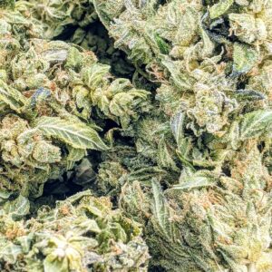 London Pound Cake strain buy weed online cheap weed online dispensary mail order marijuana