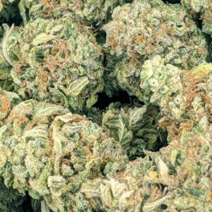 Gods Green Crack strain buy weed online cheap weed online dispensary mail order marijuana