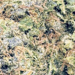 Sherbert strain buy weed online cheap weed online dispensary mail order marijuana