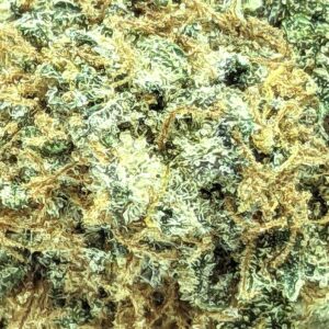 Orange Crush strain buy weed online cheap weed online dispensary mail order marijuana