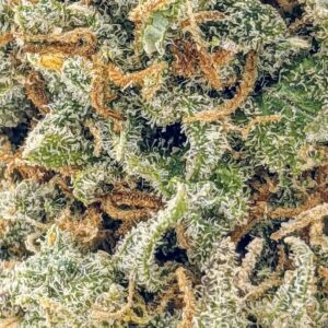 Peach Fuzz strain buy weed online cheap weed online dispensary mail order marijuana