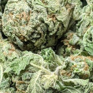 Pennywise strain buy weed online cheap weed online dispensary mail order marijuana