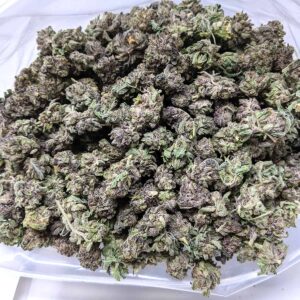 Pine OG strain buy weed online cheap weed online dispensary mail order marijuana