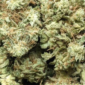 Pink Gas strain buy weed online cheap weed online dispensary mail order marijuana