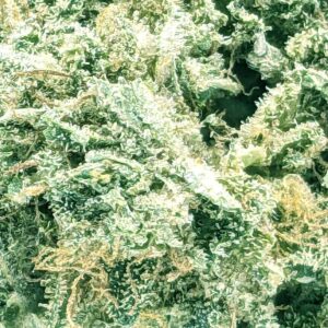 Grape Sundae strain buy weed online cheap weed online dispensary mail order marijuana