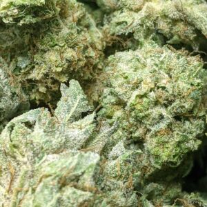 Grape Zkittlez strain buy weed online cheap weed online dispensary mail order marijuana
