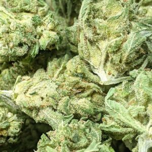 Hashplant strain buy weed online cheap weed online dispensary mail order marijuana